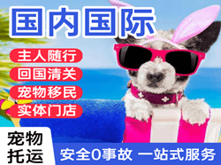 查干湖空运国际宠物托运 【国
